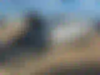 Vehicle Image- 2014 Chevrolet Silverado