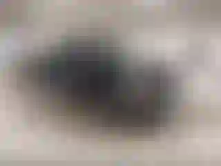 Vehicle Image- 2017 Chevrolet Silverado