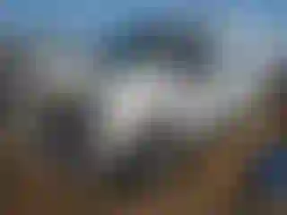 Vehicle Image- 2016 Chevrolet Express