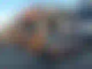 Vehicle Image- 1994 GMC Sierra