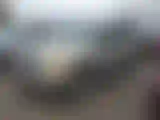 Vehicle Image- 2002 GMC Envoy
