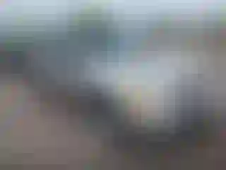 Vehicle Image- 2006 GMC Envoy