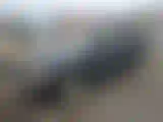 Vehicle Image- 2006 GMC Envoy