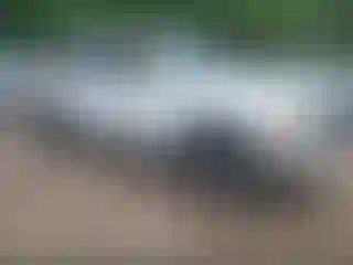 Vehicle Image- 2005 GMC Yukon