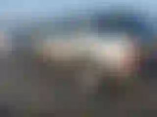 IMPORTOWO.pl