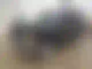 Vehicle Image- 2003 GMC Yukon