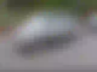 IMPORTOWO.pl