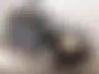 Vehicle Image- 2006 GMC Envoy