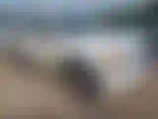 Vehicle Image- 2008 GMC Yukon