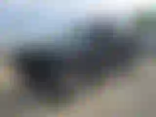 Vehicle Image- 2009 GMC Yukon