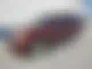 Vehicle Image- 2008 GMC Yukon