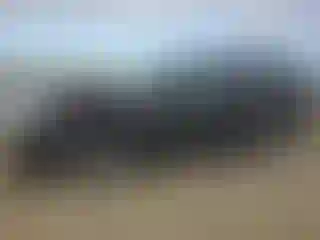 Vehicle Image- 2009 GMC Yukon