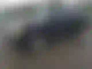 Vehicle Image- 2008 GMC Yukon