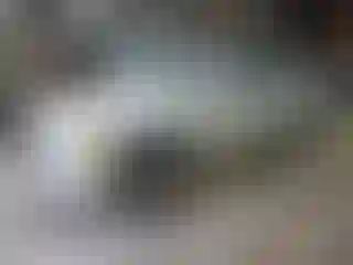 Vehicle Image- 2004 GMC Yukon