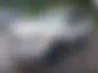 IMPORTOWO.pl