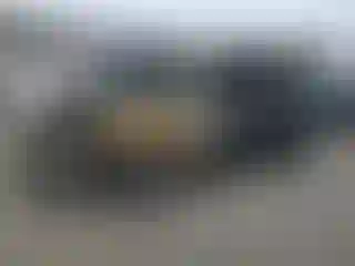 Vehicle Image- 2011 GMC Acadia