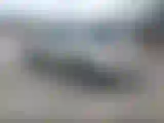 IMPORTOWO.pl