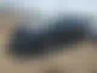 Vehicle Image- 2014 GMC Acadia
