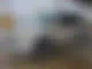 Vehicle Image- 2013 GMC Acadia