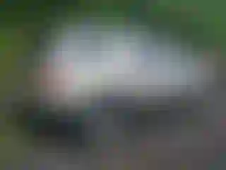 IMPORTOWO.pl