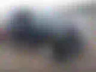 Vehicle Image- 2024 GMC Yukon