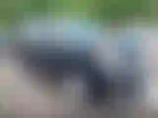 Vehicle Image- 2019 GMC Yukon