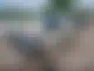 IMPORTOWO.pl