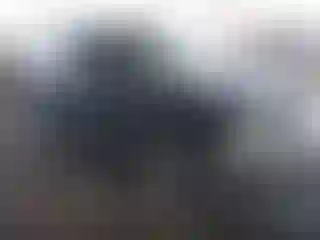 Vehicle Image- 2001 Chevrolet Blazer
