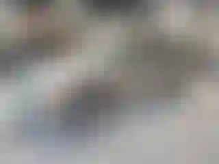 Vehicle Image- 2004 Chevrolet Blazer