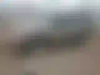 Vehicle Image- 2002 Chevrolet Blazer