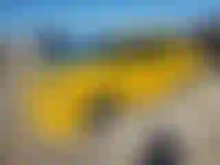 Vehicle Image- 2003 Chevrolet Blazer