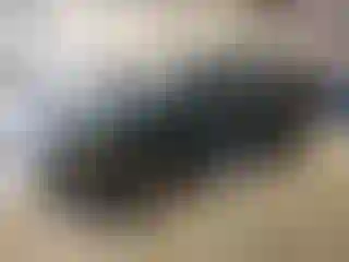 Vehicle Image- 1996 Chevrolet Blazer