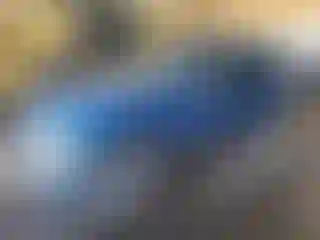 Vehicle Image- 2000 Chevrolet Blazer