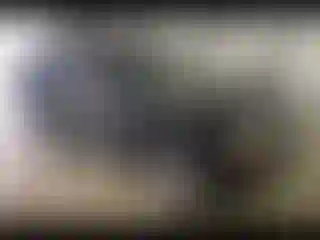 Vehicle Image- 2003 Chevrolet Blazer