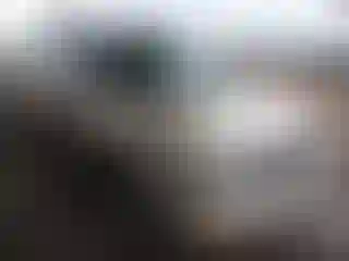 Vehicle Image- 2004 Chevrolet Trailblazer