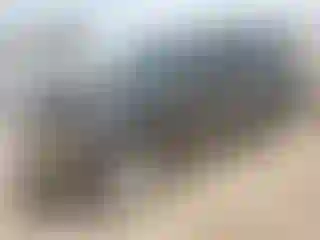 Vehicle Image- 2003 Chevrolet Trailblazer