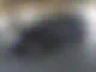 Vehicle Image- 2003 Chevrolet Trailblazer