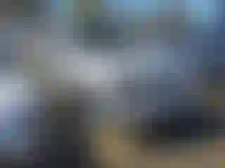 Vehicle Image- 2008 Chevrolet Trailblazer