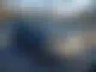 Vehicle Image- 2003 Chevrolet Trailblazer