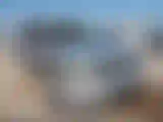 Vehicle Image- 2008 Chevrolet Trailblazer