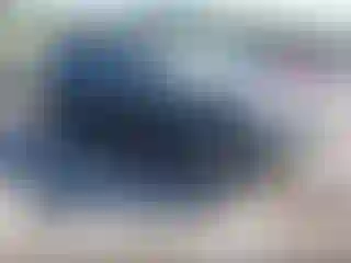 Vehicle Image- 2007 Chevrolet Trailblazer