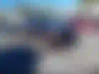 Vehicle Image- 2008 Chevrolet Trailblazer