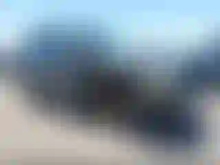 Vehicle Image- 2003 Chevrolet Trailblazer