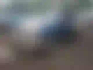 Vehicle Image- 2006 Chevrolet Trailblazer