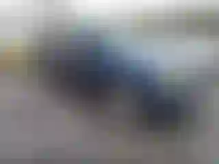 Vehicle Image- 2003 Chevrolet Trailblazer