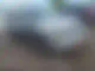 Vehicle Image- 2005 Chevrolet Trailblazer