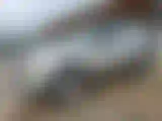Vehicle Image- 2003 Chevrolet Trailblazer