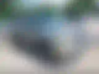 Vehicle Image- 2003 Chevrolet Trailblazer