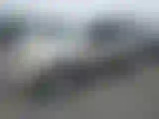 Vehicle Image- 2003 Chevrolet Trailblazer