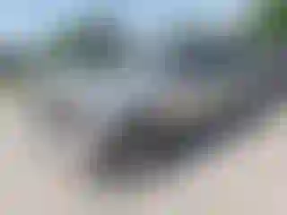 Vehicle Image- 2004 Chevrolet Trailblazer
